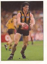1990 Select AFL Stickers #140 Gary Ayres Front